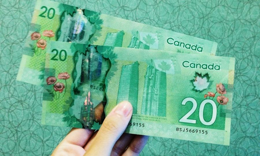 person holding two 20 Canadian dollar banknotes