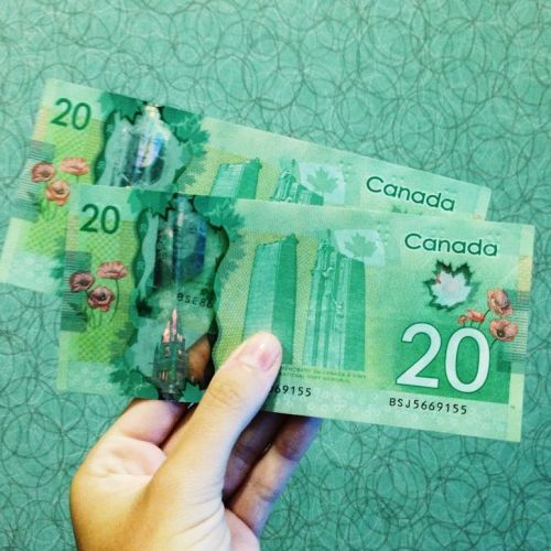 person holding two 20 Canadian dollar banknotes